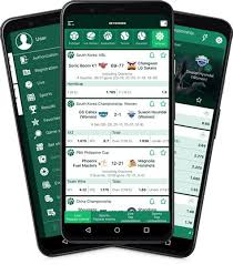 Betwinner APK download latest version - Your Gateway to Seamless Betting