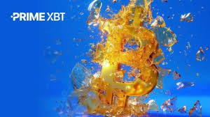 Comprehensive Guide PrimeXBT FAQ Comprehensive Guide PrimeXBT FAQ