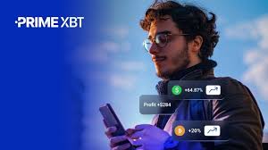 Comprehensive Guide PrimeXBT FAQ Comprehensive Guide PrimeXBT FAQ