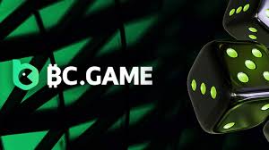 Explore the Exciting Features of the App BC.Game 1