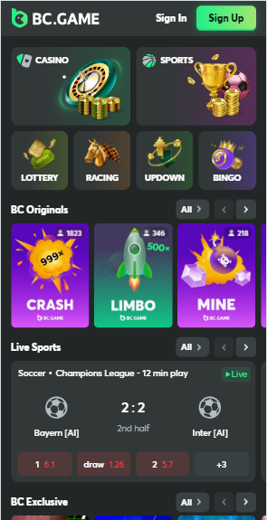 Understanding BC.Game KYC A Step Towards Secure Gambling